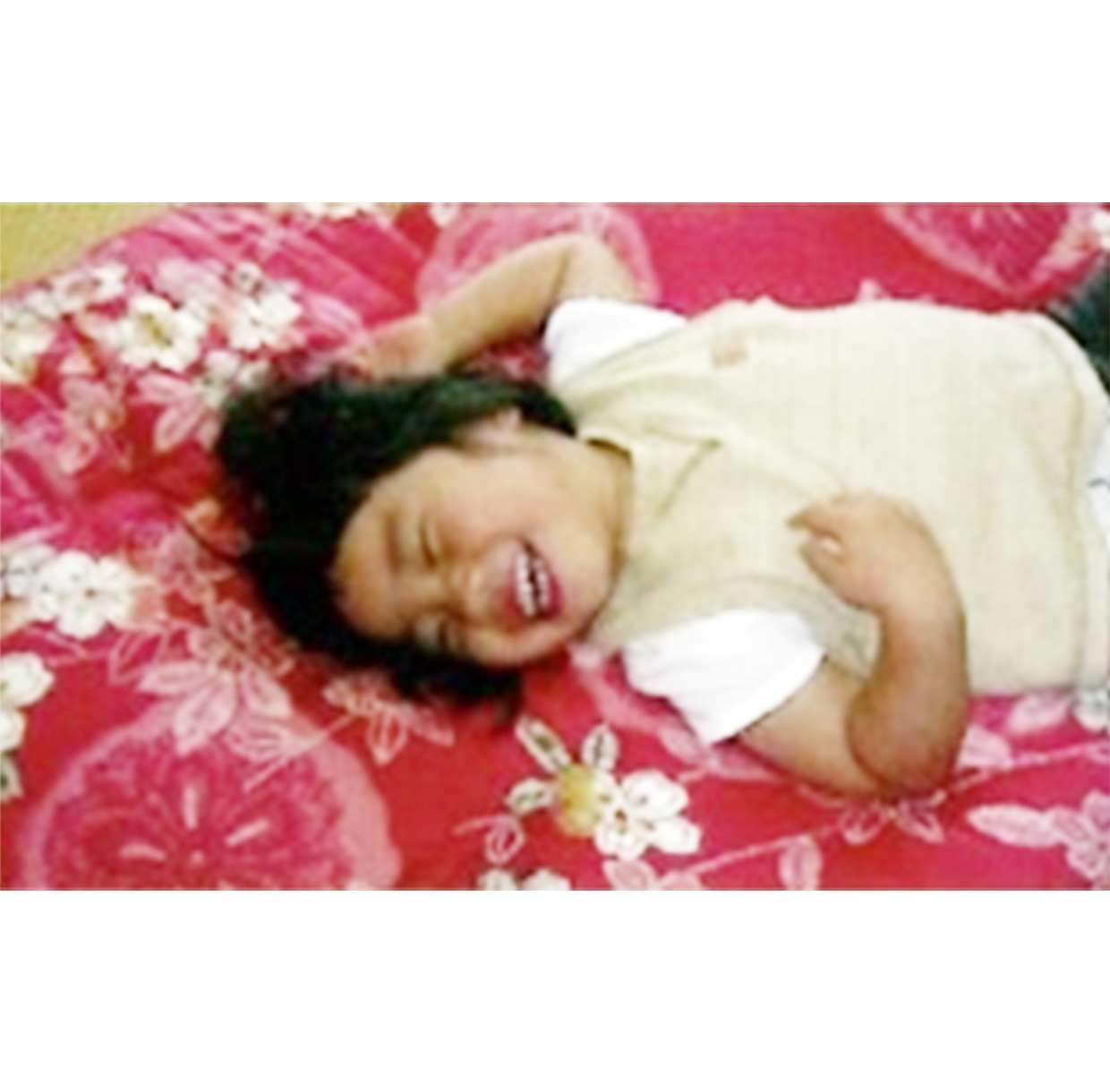 ふとん屋の菊屋